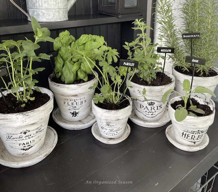 4 Inspiring Spring Ideas